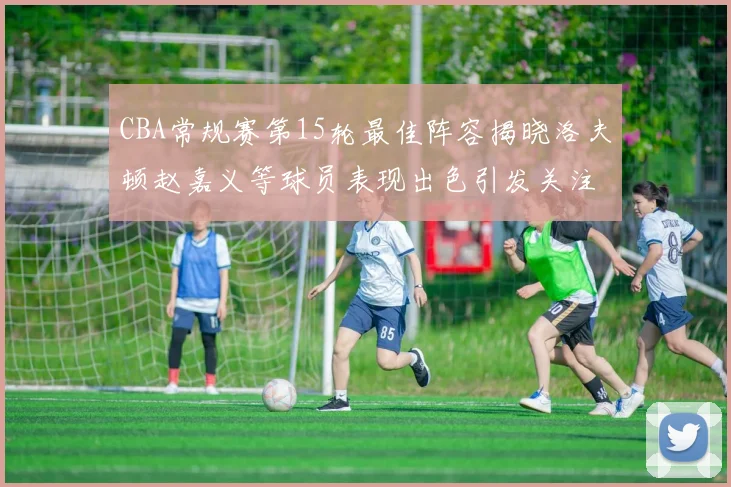CBA常规赛第15轮最佳阵容揭晓洛夫顿赵嘉义等球员表现出色引发关注